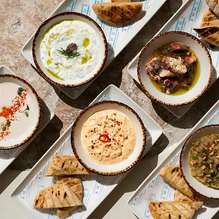 Hotel Mett Marbella Estepona